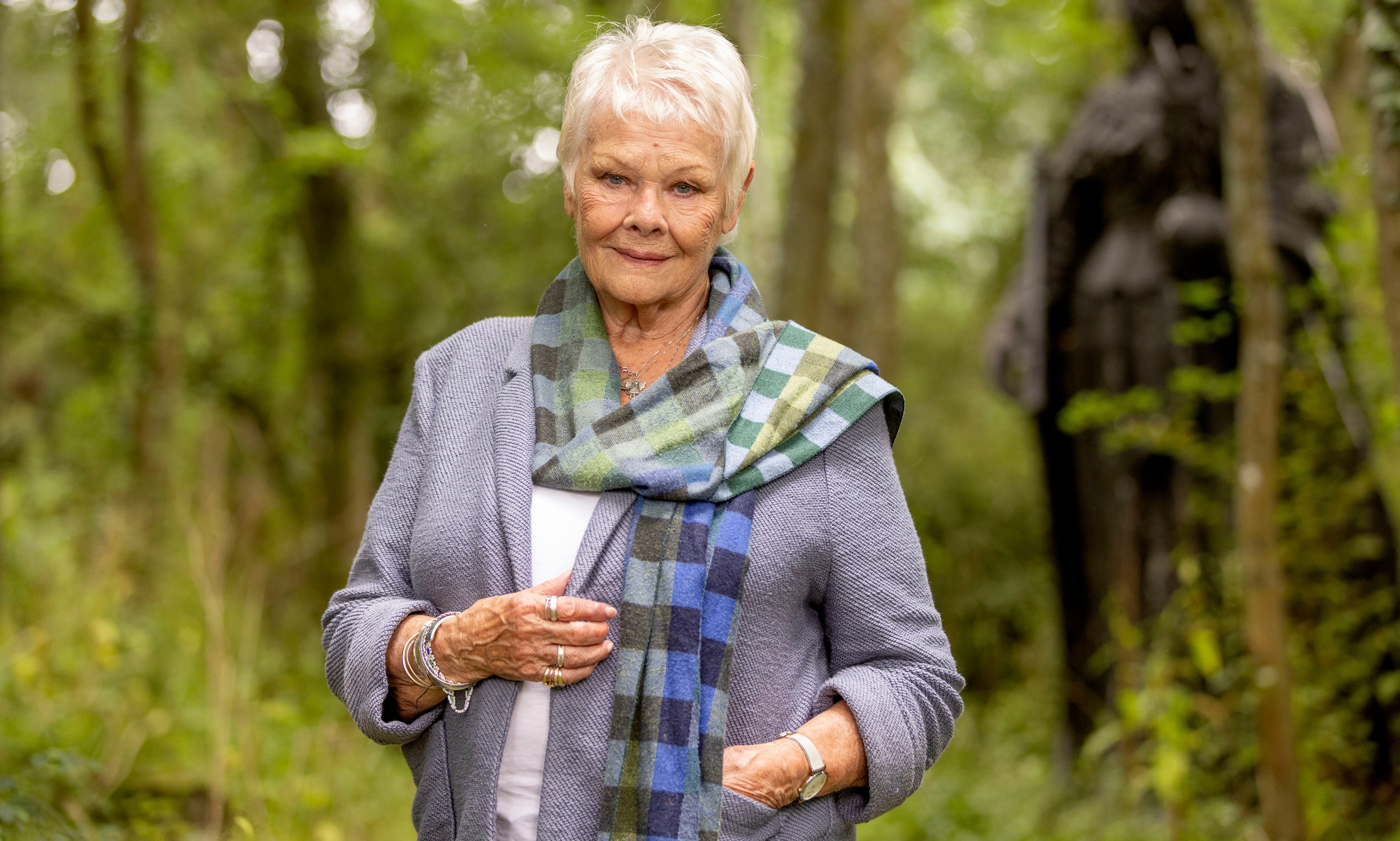 Dame Judi Dench in a Surrey garden.