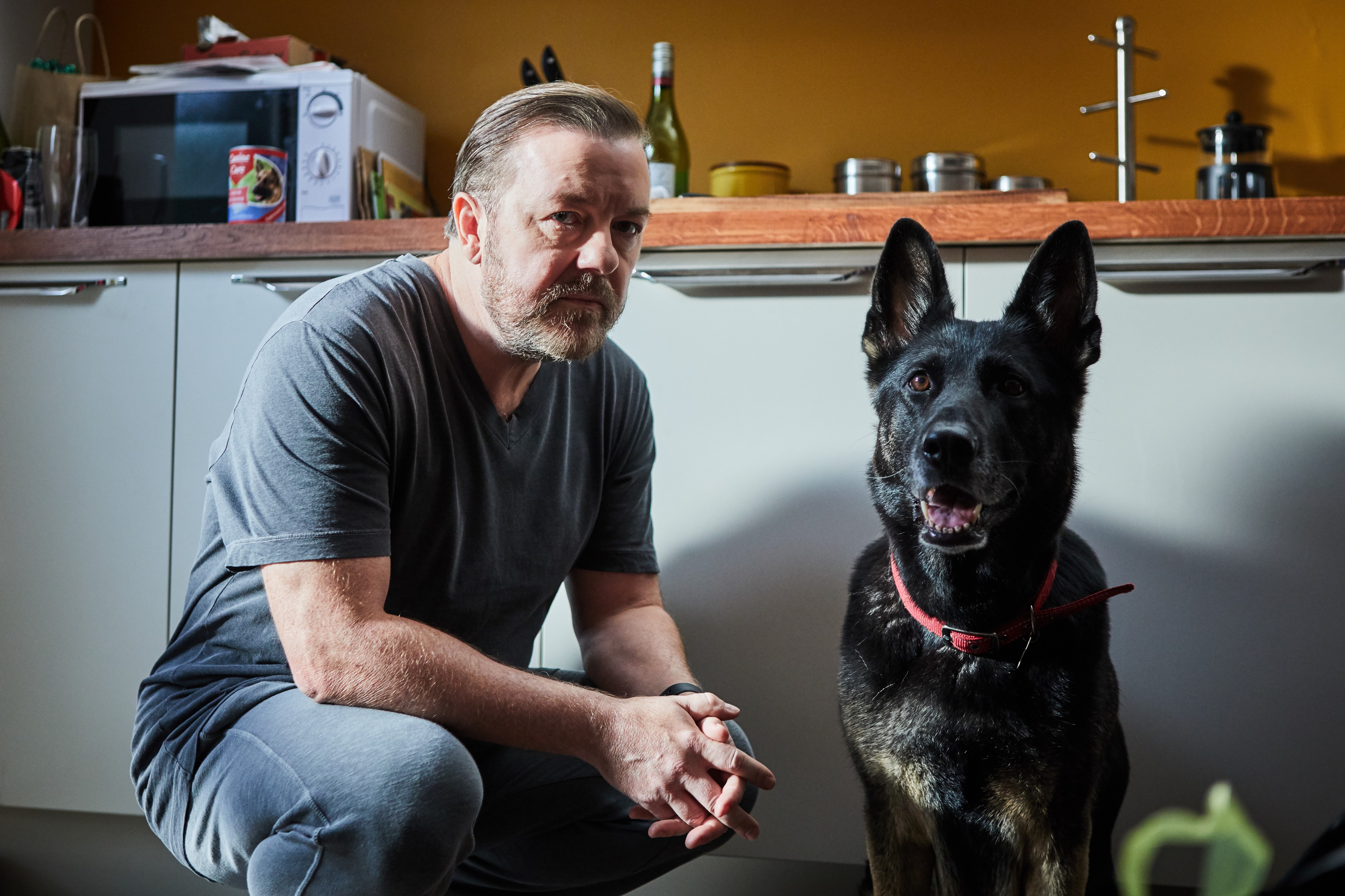 a man kneeling down next to a german shepherd dog